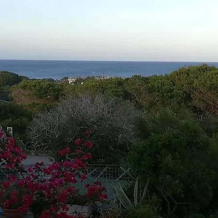 Cala Lupo Bis Apartment Stintino Exterior photo