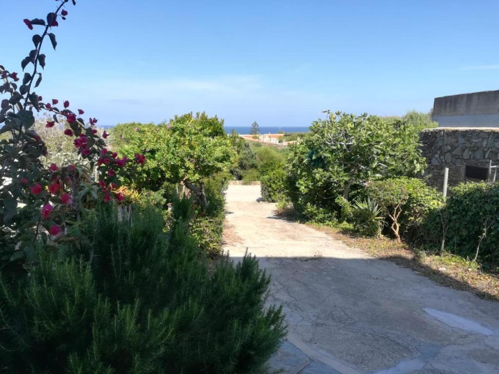 Cala Lupo Bis *